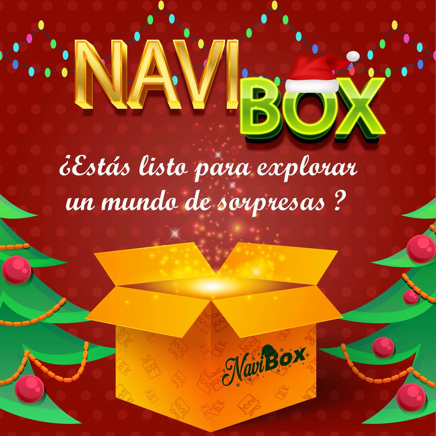 NAVI BOX CHRISTMAS
